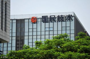 國(guó)民技術(shù) 主力資金異動(dòng)背后的計(jì)算機(jī)軟硬件技術(shù)開(kāi)發(fā)賽道深度解析